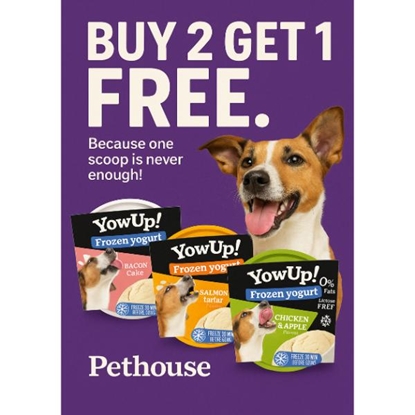 Picture of YOWUP! ICE CREAM OFFER 2+1